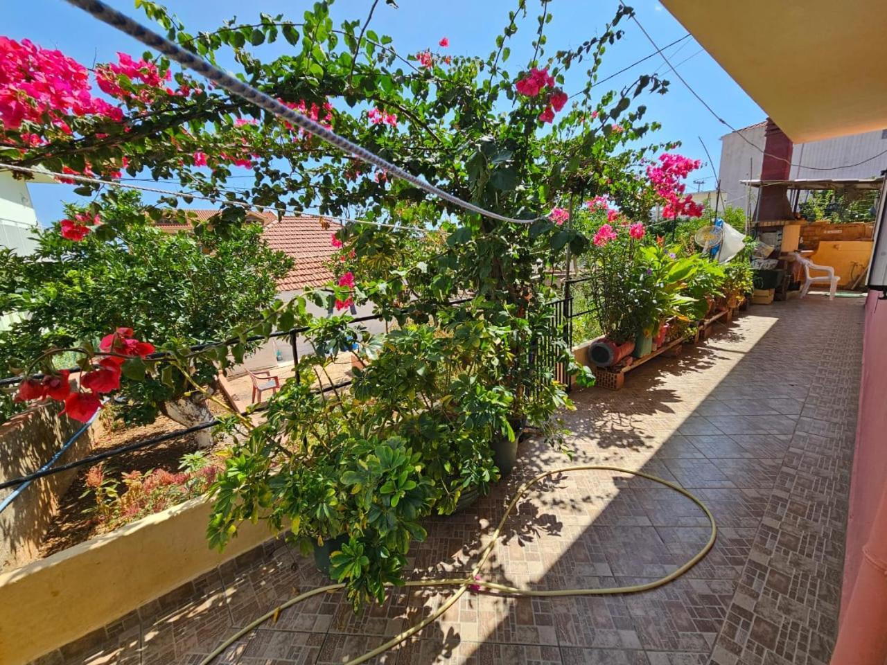 Eva'S Apartment Poros  Exterior photo